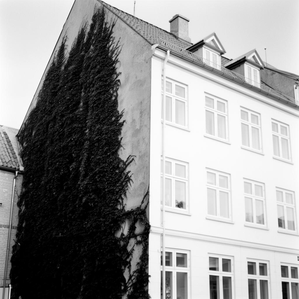 Facaderens på dansk pudsfacade — udført af Casa Concept murerfirma